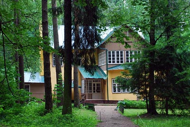 151-2.Дача К.Чуковского в Переделкино.jpg