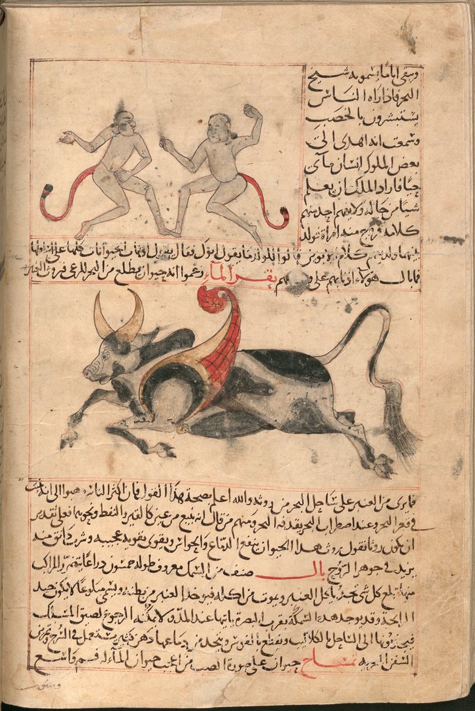 151.jpg