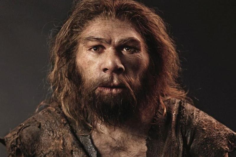 1511530113_poslednie-neandertalcy-zhili-v-yuzhnoy-iberii.jpg