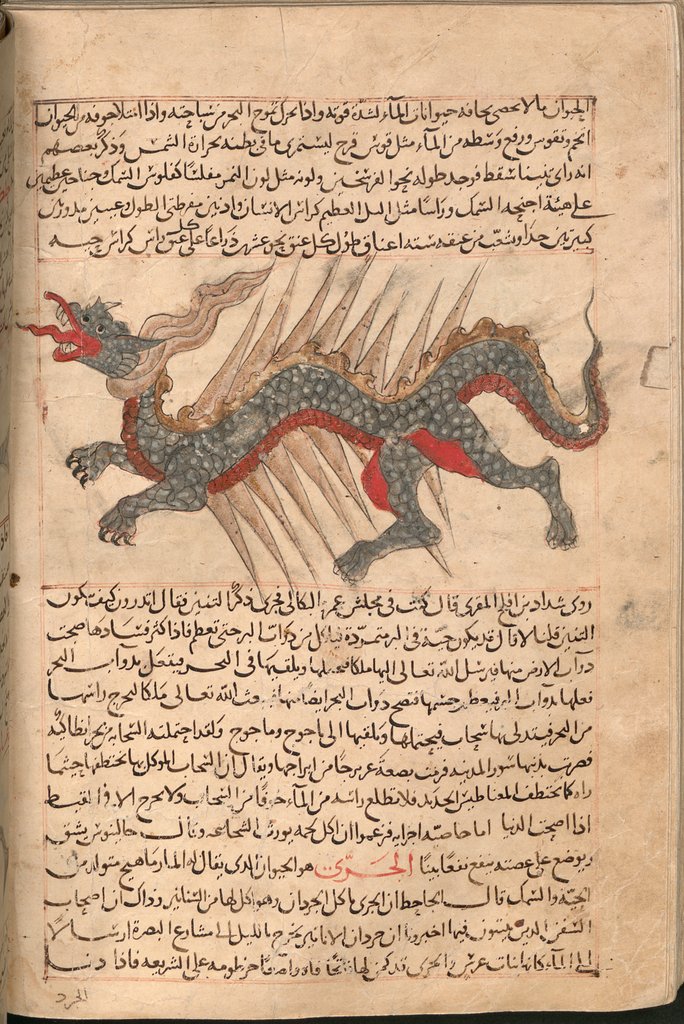153.jpg