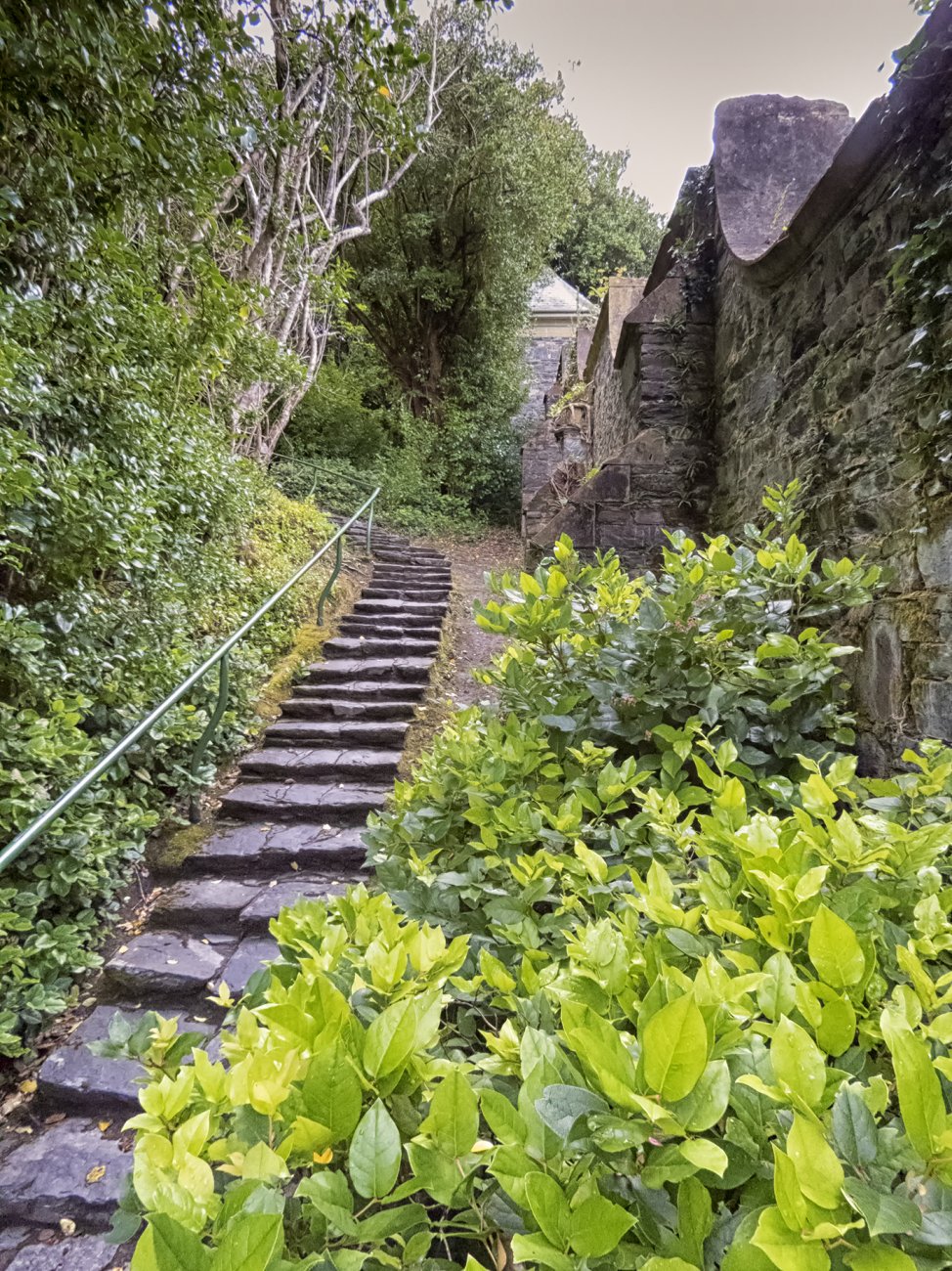 16-Ireland-1227---Garnish Island.jpg