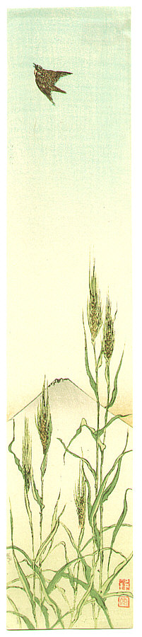 16290g1.jpg