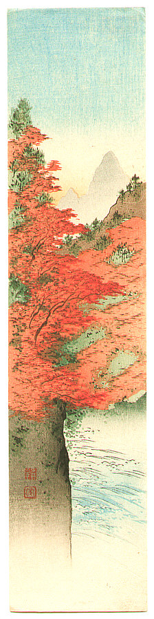 16295g1.jpg