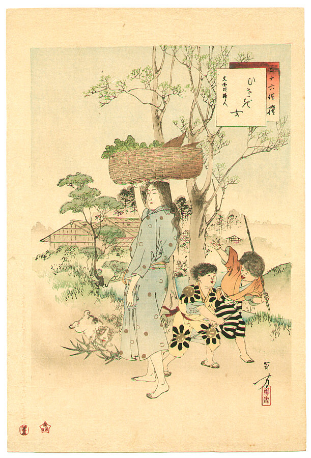 16376g1.jpg
