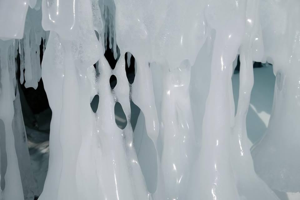 17022135_1901454356749912_637277778507394736_n.jpg