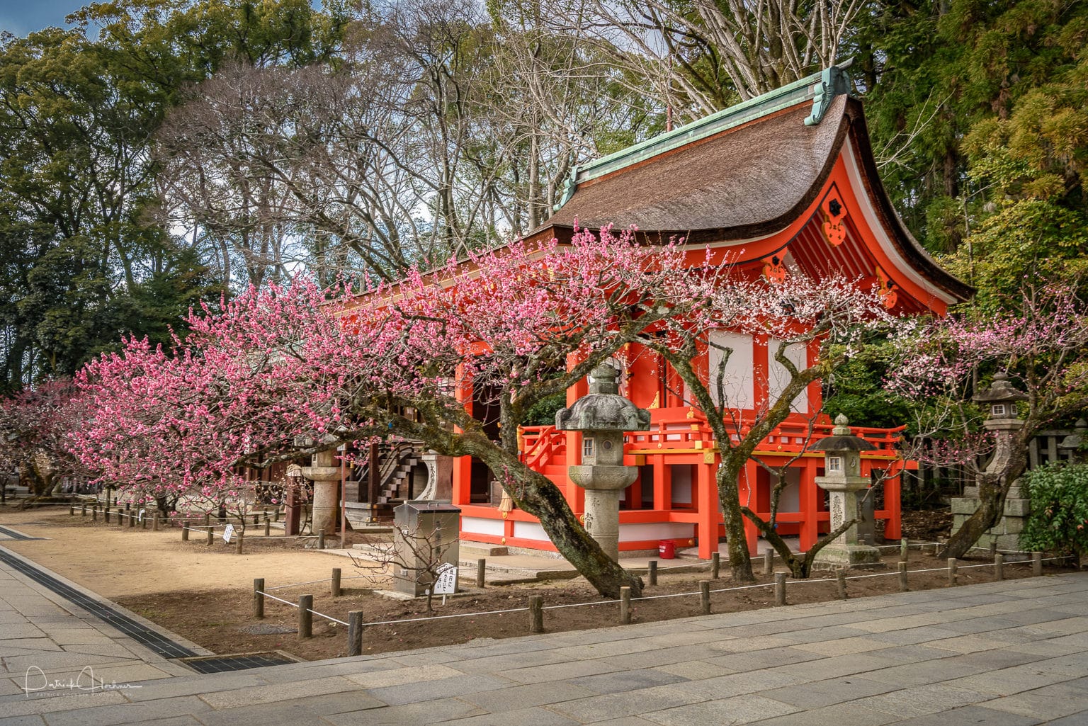 170314_Kyoto-Kitano-Tenmangu-.jpg