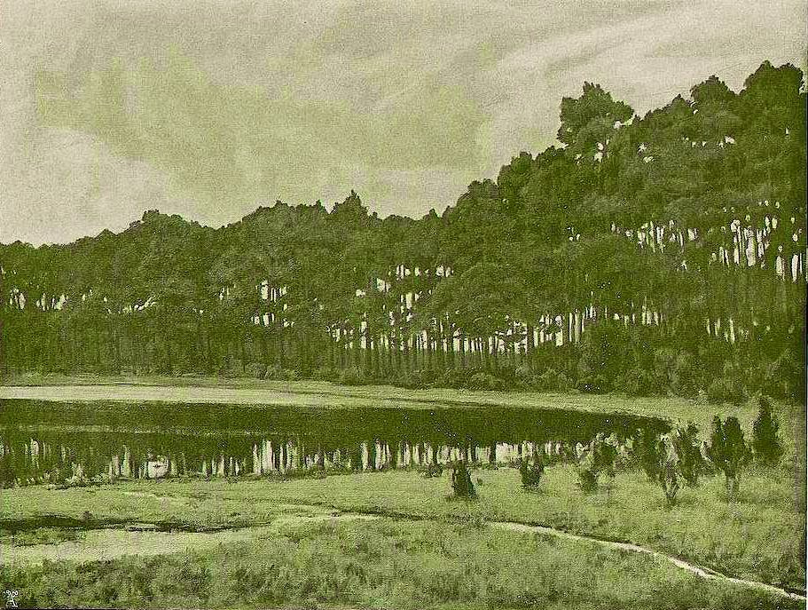 17leistikow22.jpg