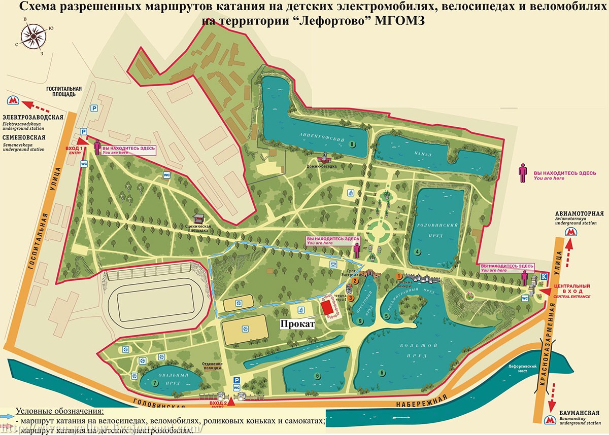 1815531_original.jpg