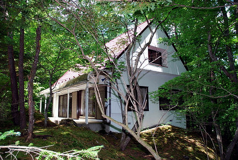187.Лесная дача.jpg