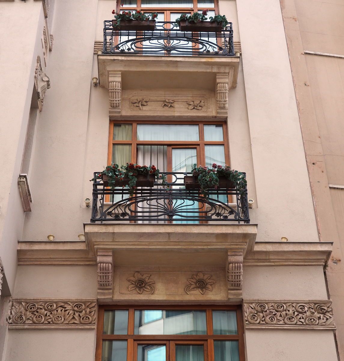 1895 PA083982.jpg