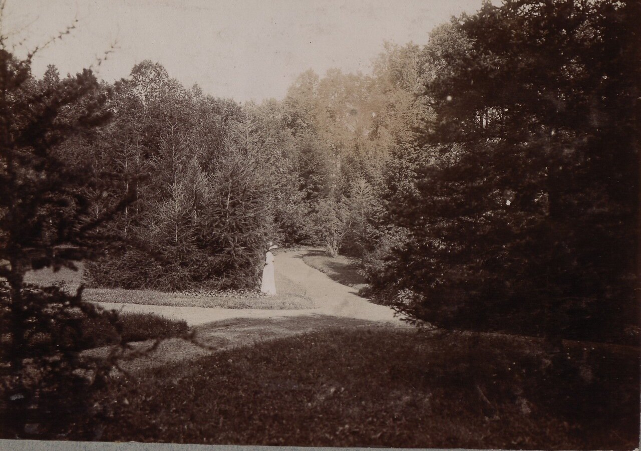 1900 крупки 28255187.jpg