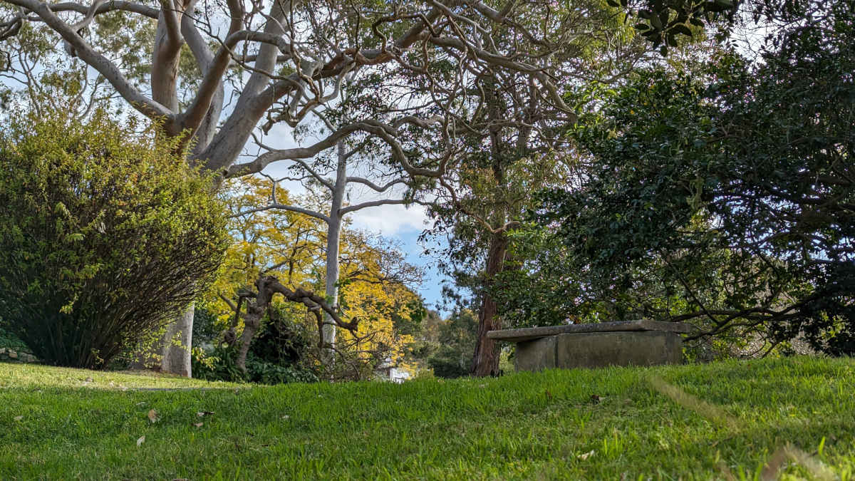 1906 Mornington Hunter’s Hill  mornington-reserve-stone-bench.jpg