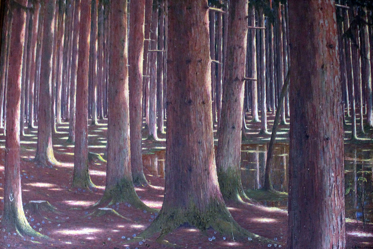 1920_Lambrecht_Fichtenwald_anagoria.JPG