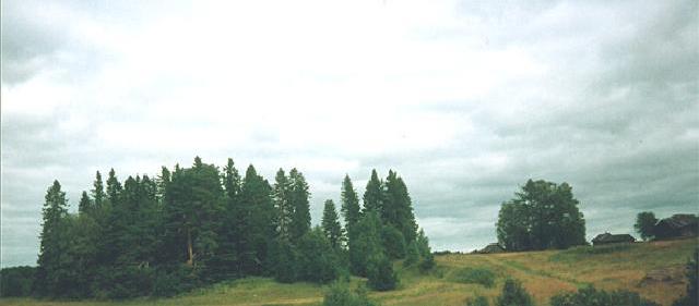 19805064_les.JPG