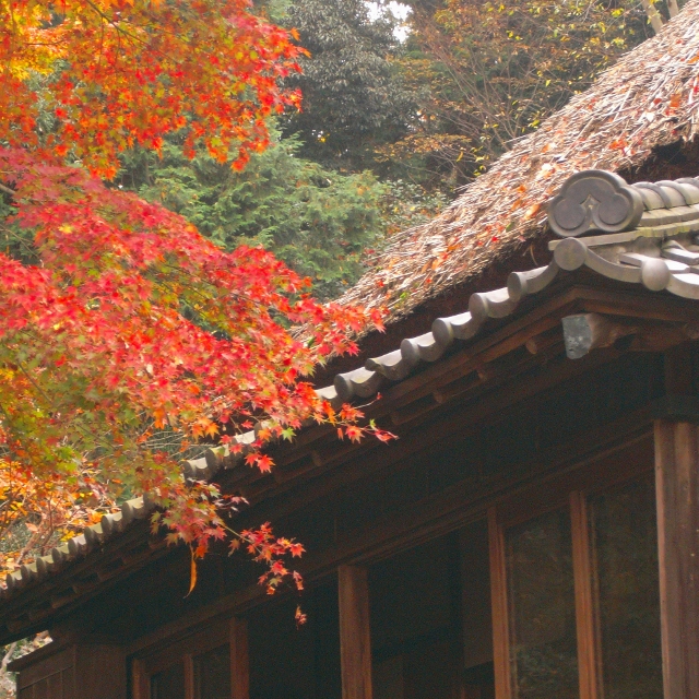 199-640x640.jpg