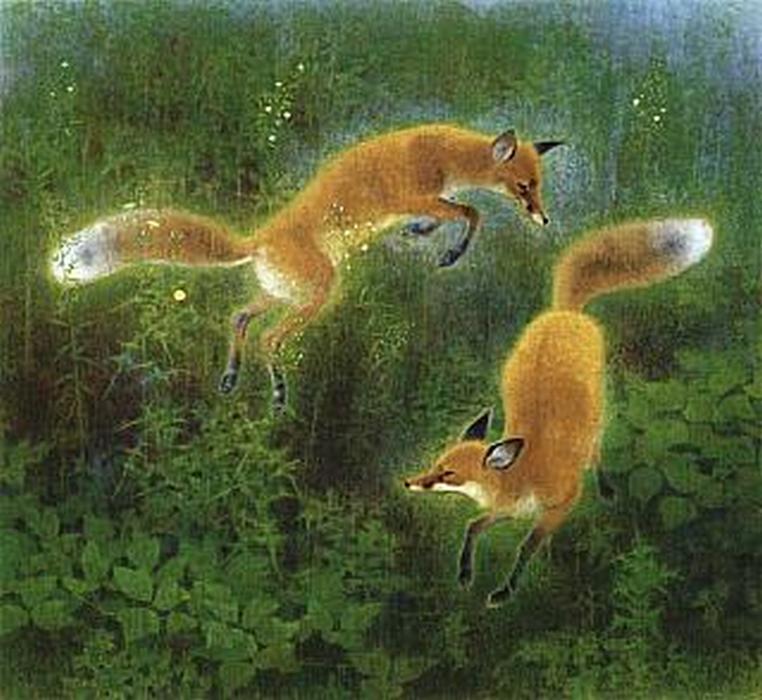 19990117_07.jpg