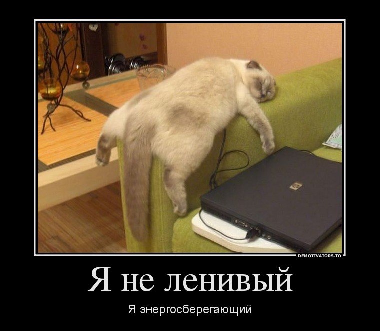 1Mpzlb1akFo.jpg