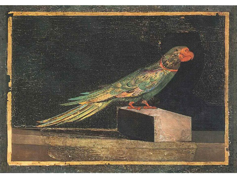 2 в до ПергамParrotfromPergamon.jpg