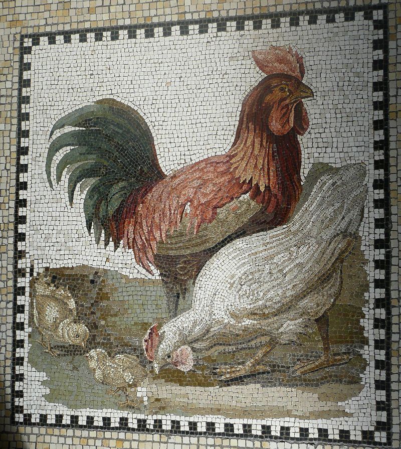 2 доlj P1080227,Thyrôreion,entrée,allégorie_de_la_famille,mosaïque_alexandrine_IIe_s.av.J.C..JPG