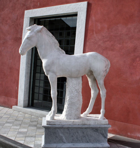 20023973.jpg