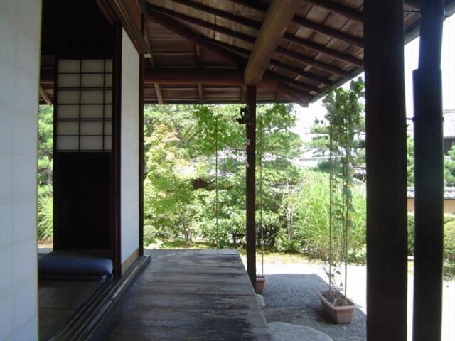 20100419_839235.jpg
