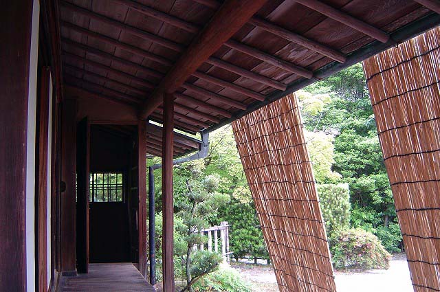 20100626_1027780.jpg