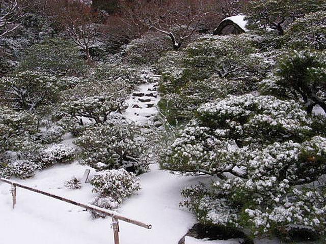 20110116к094843.jpg