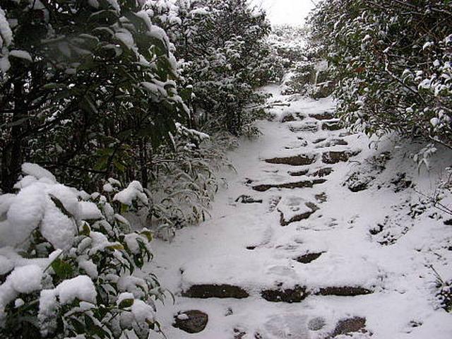 20110116ц100451.jpg