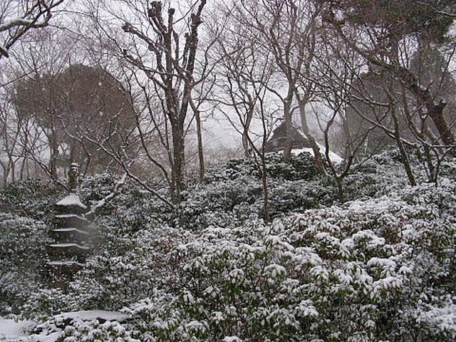 2011011609е5556.jpg