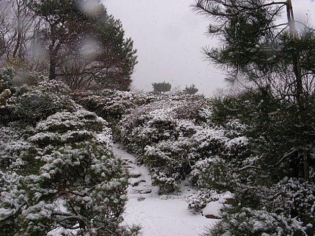 20110116095е844.jpg