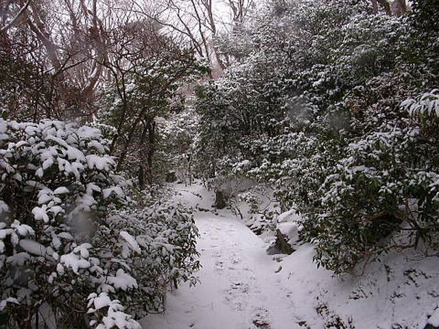 201101160954па55.jpg
