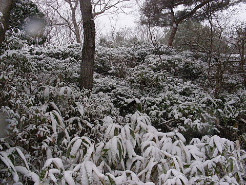 2011011610й0824.jpg