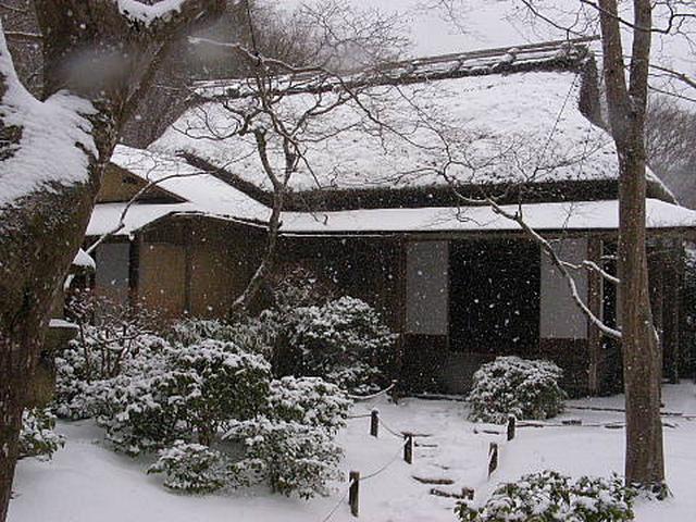 20110116100ц100.jpg