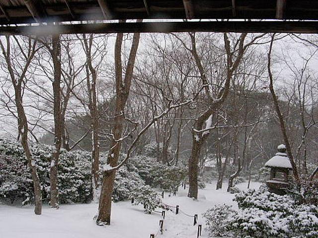 201101161001е56.jpg