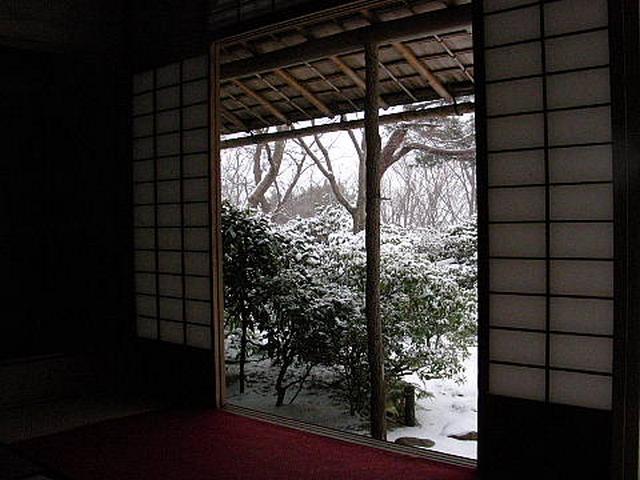 2011011610021ц3.jpg