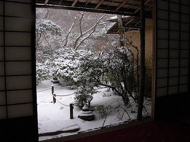 20110116100239к.jpg
