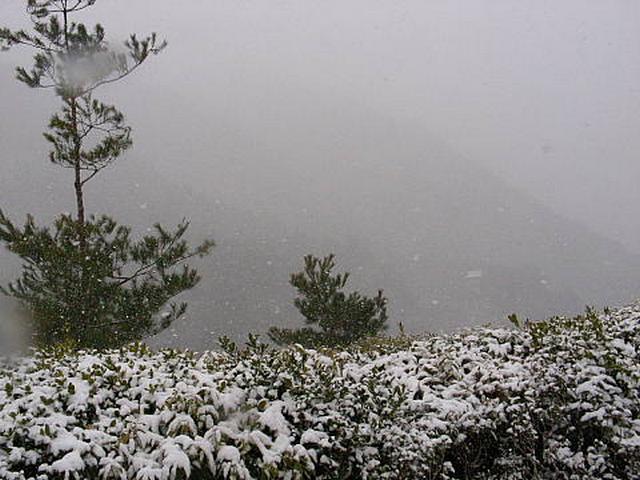 201101161005у49.jpg