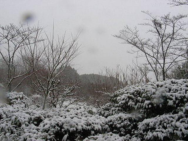 20110116100804е.jpg