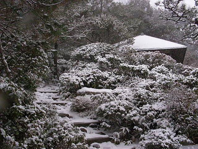 20110116100835е.jpg