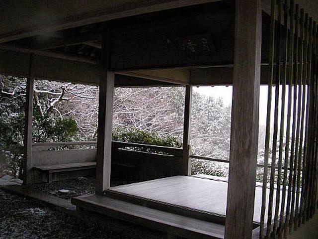 20110116100906е.jpg