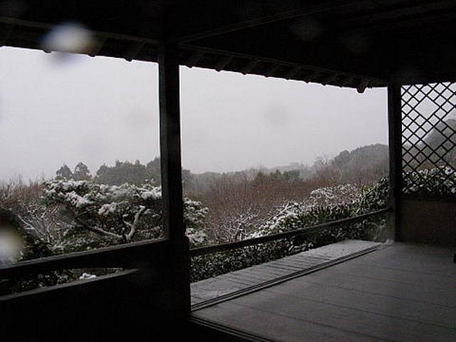 20110116100939ку.jpg