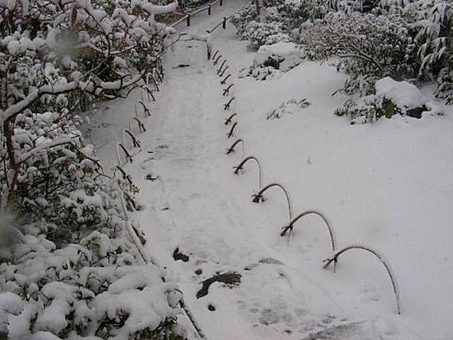 20110116101208уу.jpg