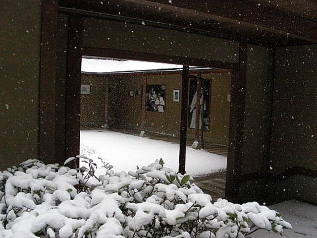 20110116101621в.jpg