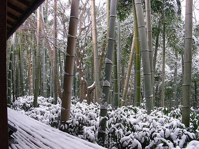 20110116103433еуеу.jpg