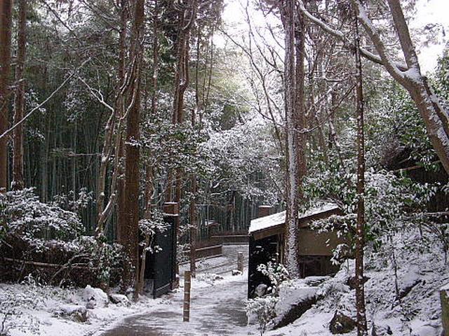 20110116105141укук.jpg