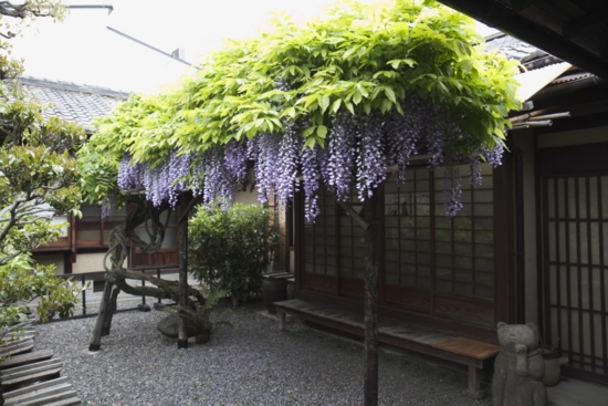 20110506160352.jpg