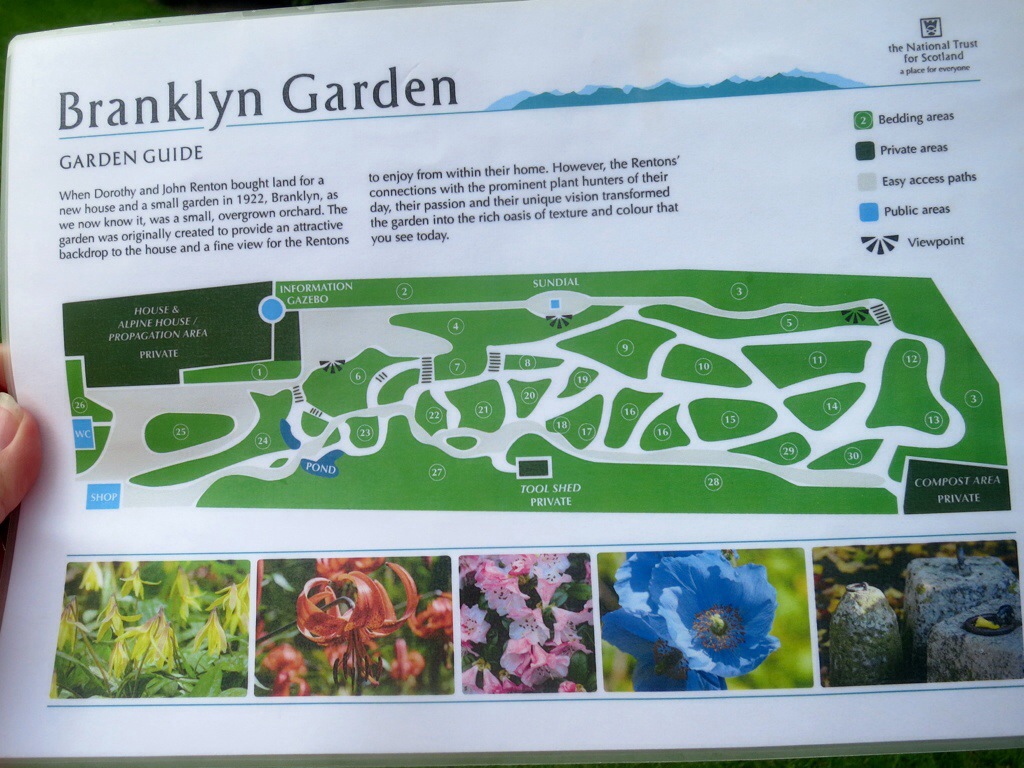 20140630-154550.jpg