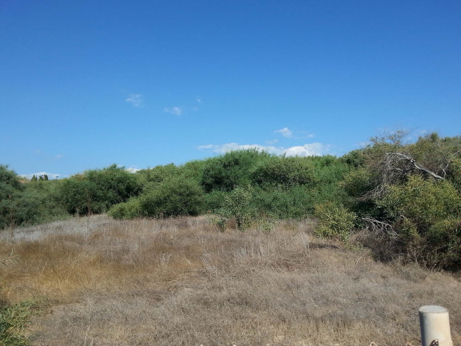 20150828_172103_1.jpg