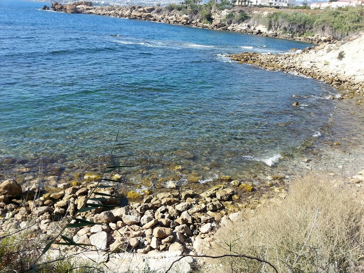 20150828_172724_1.jpg