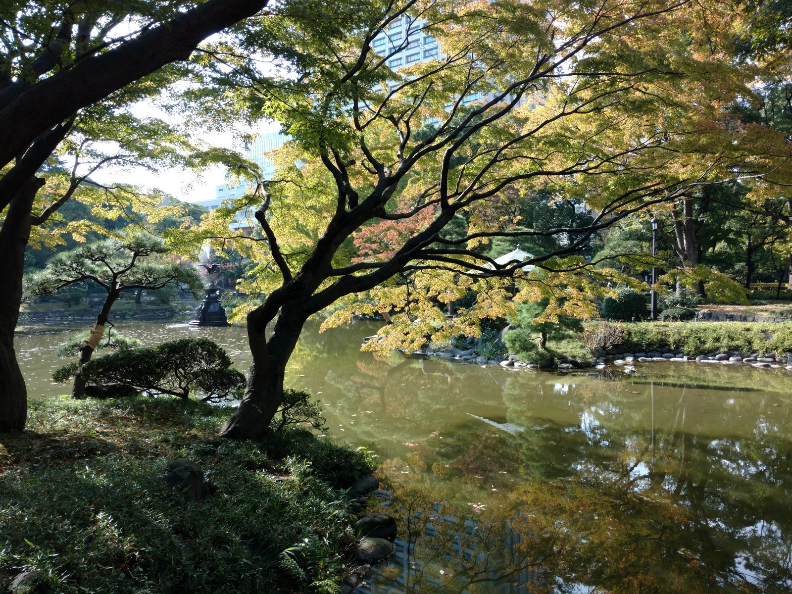 20171110130011071.jpg